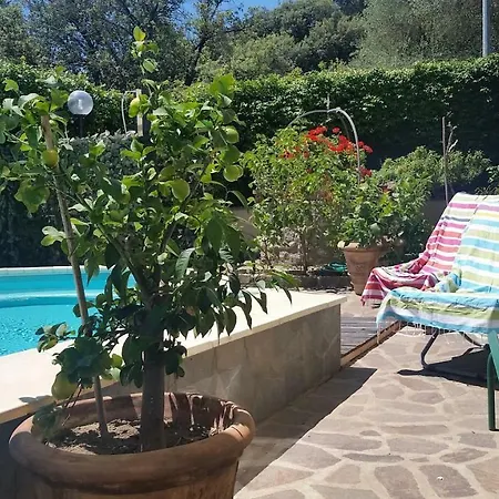 Apartment L' Infiorata *