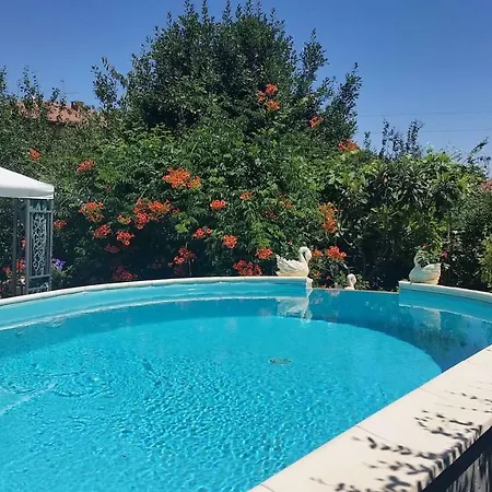 L' Infiorata Apartment *