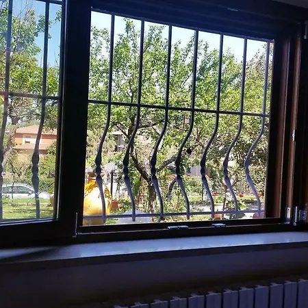 Apartment L' Infiorata *
